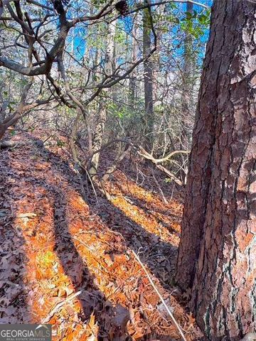 0 Horse Cove Court, Jasper, GA 30143