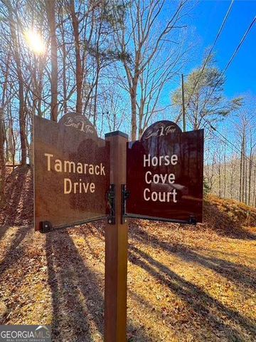 0 Horse Cove Court, Jasper, GA 30143