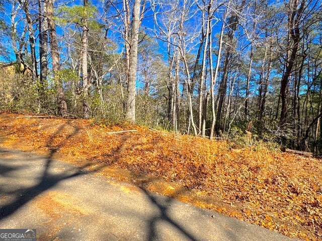 0 Horse Cove Court, Jasper, GA 30143