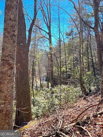 0 Horse Cove Court, Jasper, GA 30143