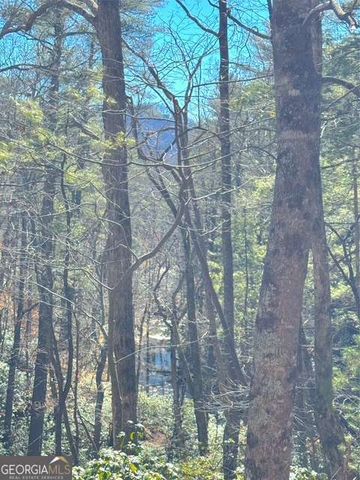 0 Horse Cove Court, Jasper, GA 30143