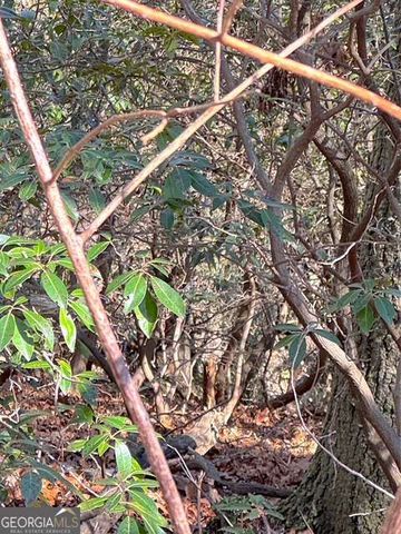 0 Horse Cove Court, Jasper, GA 30143