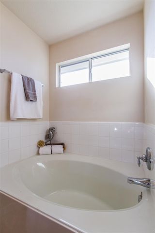 14202 Ballfour Park Lane, Houston, TX 77047