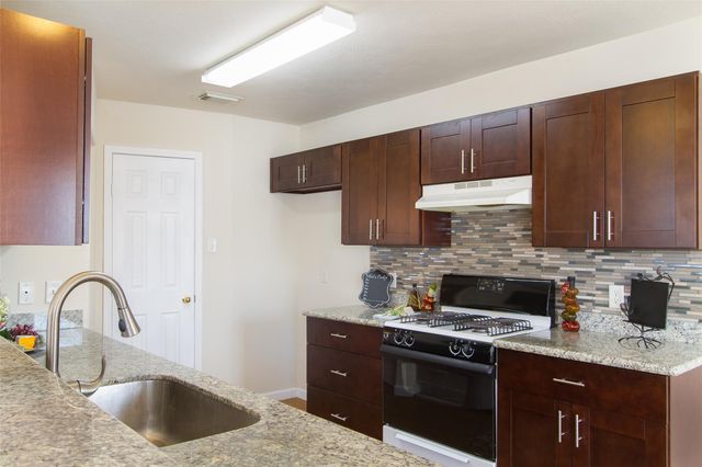 14202 Ballfour Park Lane, Houston, TX 77047