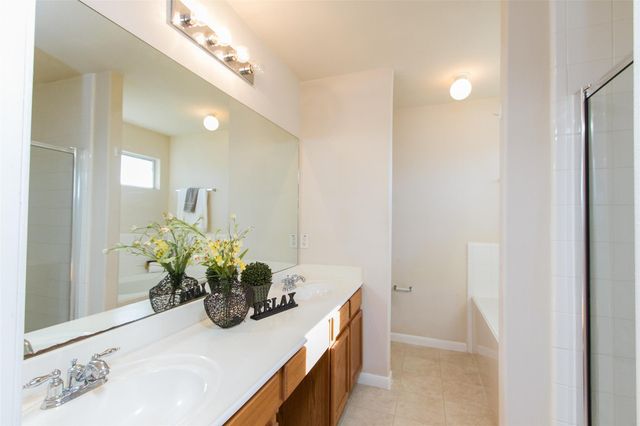 14202 Ballfour Park Lane, Houston, TX 77047