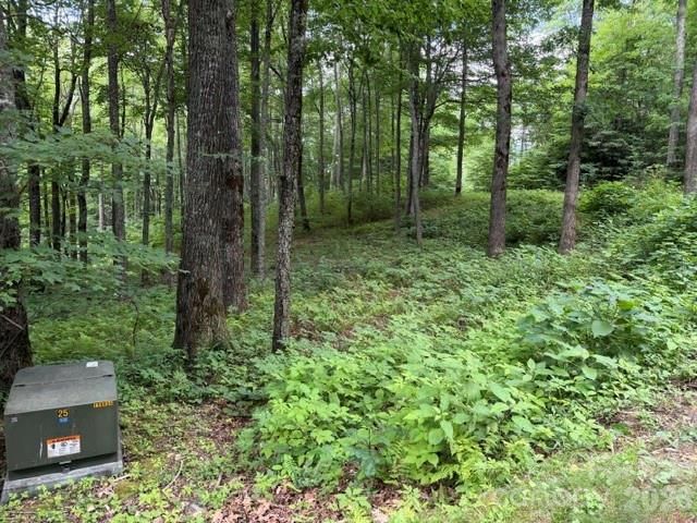 Lot 59 Odalu Trail 59, Maggie Valley, NC 28751