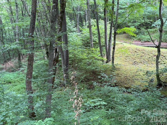Lot 59 Odalu Trail 59, Maggie Valley, NC 28751