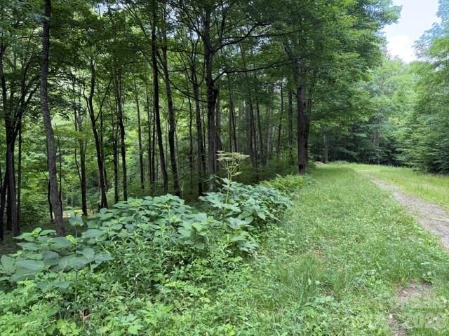 Lot 59 Odalu Trail 59, Maggie Valley, NC 28751
