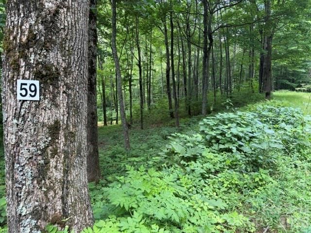 Lot 59 Odalu Trail 59, Maggie Valley, NC 28751