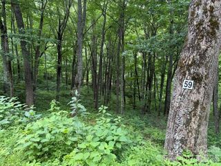Lot 59 Odalu Trail 59, Maggie Valley, NC 28751