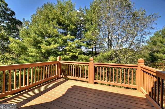 2929 Douthit Road, Mineral Bluff, GA 30559