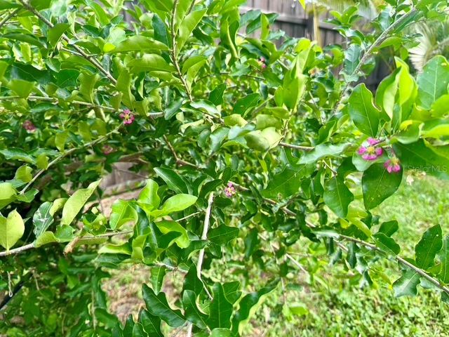 1815 BARKER DRIVE, Winter Park, FL 32789