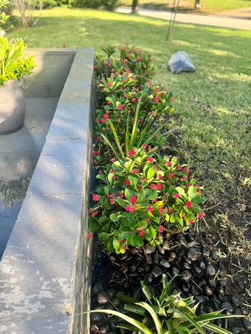 1815 BARKER DRIVE, Winter Park, FL 32789