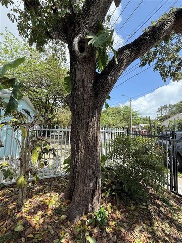 294 NE 57th St 1, Miami, FL 33137