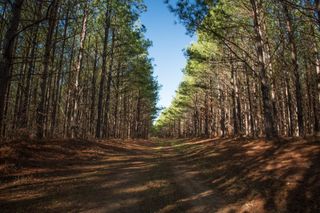 0 Copperas Branch Rd, Centerville, TN 37033