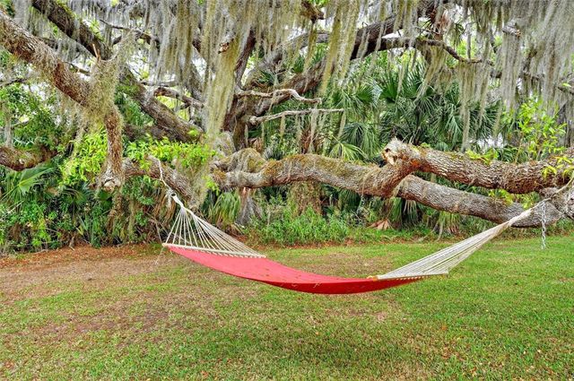 7 COCOS PLUMOSA DRIVE A, Eustis, FL 32726