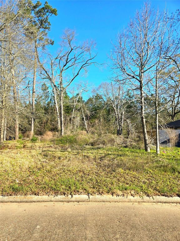 Image 1 of property listing at TBD E Hanson Street, Cleveland, TX 77327