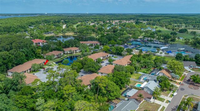 3301 CRYSTAL COURT E D, Palm Harbor, FL 34685