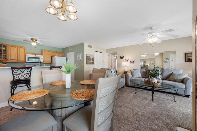 3301 CRYSTAL COURT E D, Palm Harbor, FL 34685