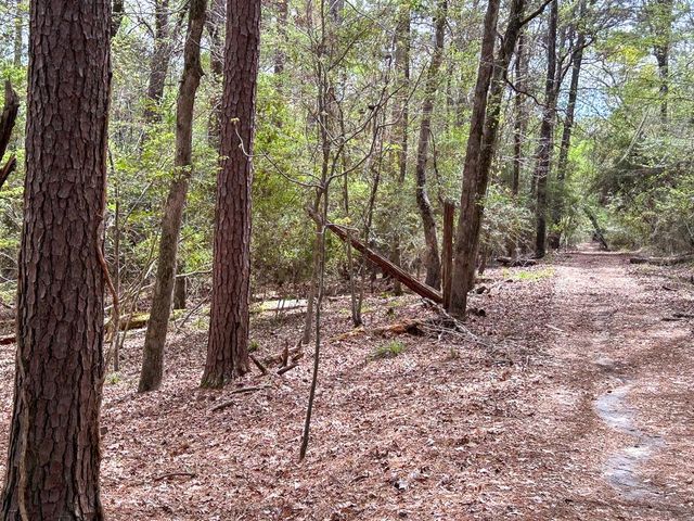 TBD Sue Street, Etoile, TX 75944