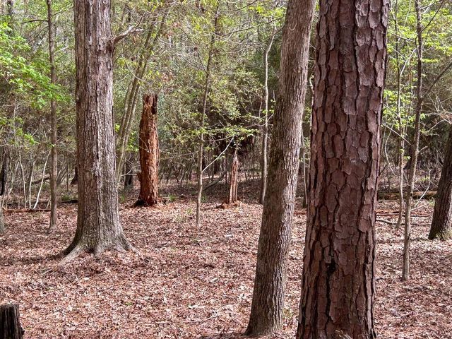 TBD Sue Street, Etoile, TX 75944