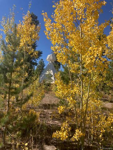 10658 US Highway 34, Grand Lake, CO 80447