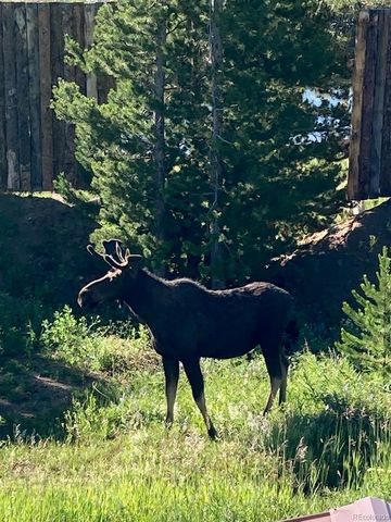 10658 US Highway 34, Grand Lake, CO 80447