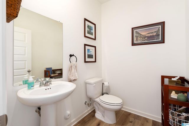 1332 CHELSEA PARK TRAIL, Chelsea, AL 35043