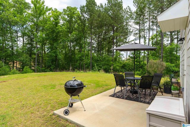 1332 CHELSEA PARK TRAIL, Chelsea, AL 35043
