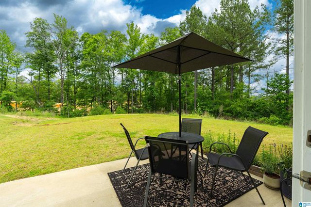 1332 CHELSEA PARK TRAIL, Chelsea, AL 35043