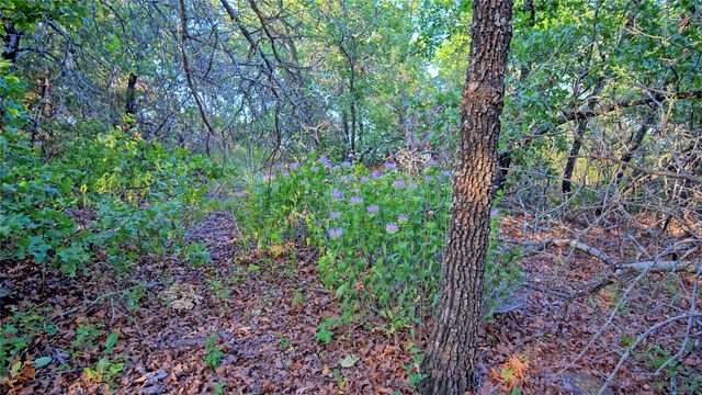 TBD Scenic Hill Drive, Bowie, TX 76230