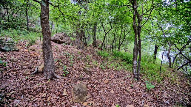 TBD Scenic Hill Drive, Bowie, TX 76230