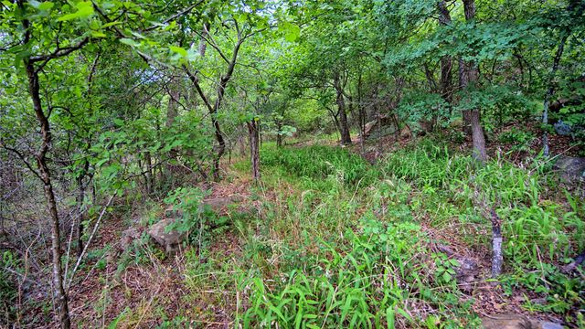 TBD Scenic Hill Drive, Bowie, TX 76230