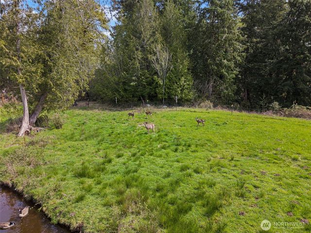 291 E Orchid Lane, Grapeview, WA 98546