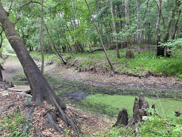 8412 CR 647, Bushnell, FL 33513