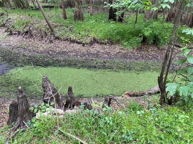 8412 CR 647, Bushnell, FL 33513