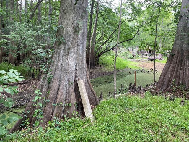 8412 CR 647, Bushnell, FL 33513