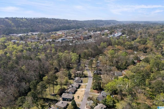 1820 WINDSOR BOULEVARD, Homewood, AL 35209