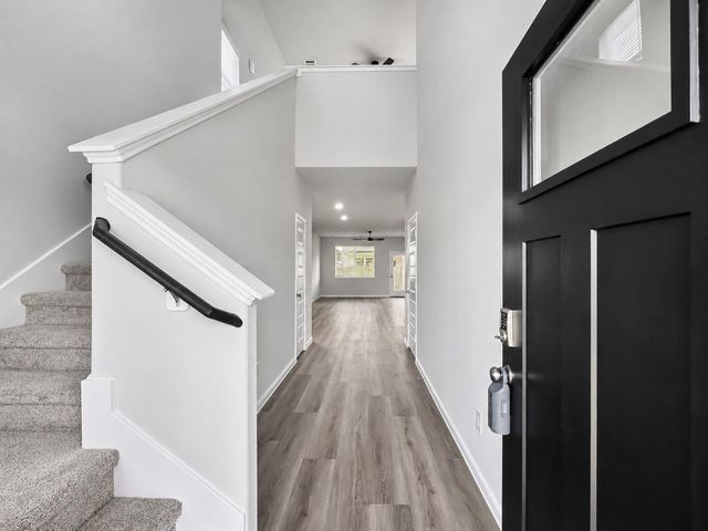 2328 Pipefish Drive, Conroe, TX 77384