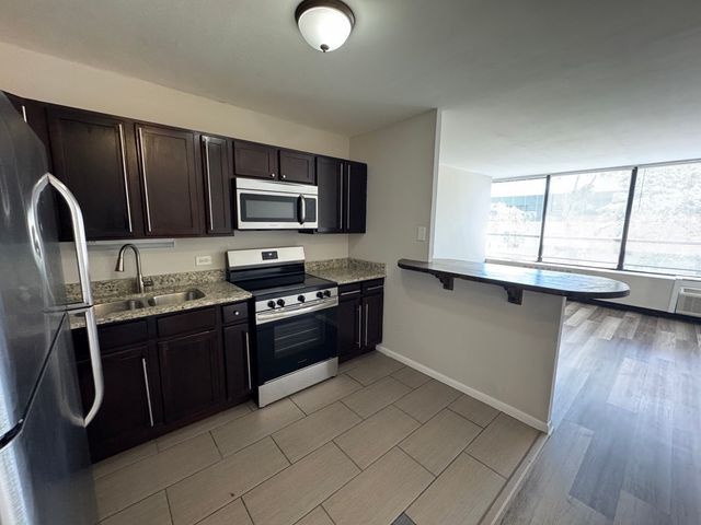 4800 S Chicago Beach Drive 308S, Chicago, IL 60615