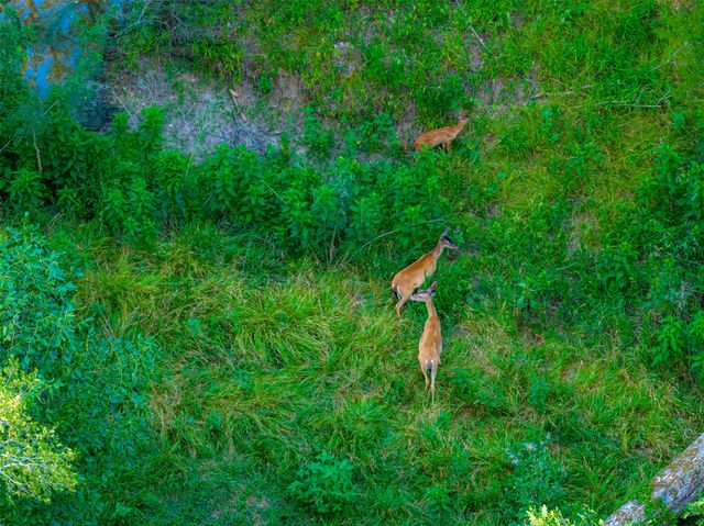 10100 County Road 4028, Kemp, TX 75143