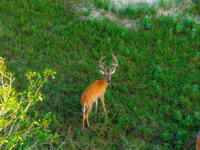 10100 County Road 4028, Kemp, TX 75143