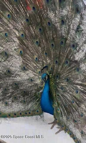 2350 Fallon Blvd Boulevard NE, Palm Bay, FL 32907