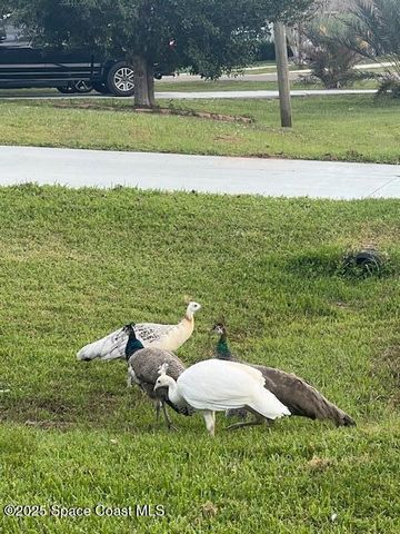 2350 Fallon Blvd Boulevard NE, Palm Bay, FL 32907