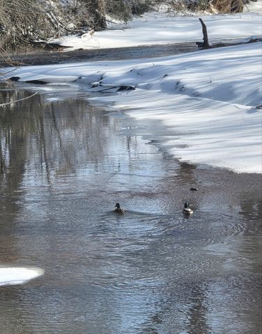 6241 Hwy 49 E, Springfield, TN 37172