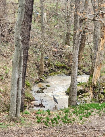 6241 Hwy 49 E, Springfield, TN 37172