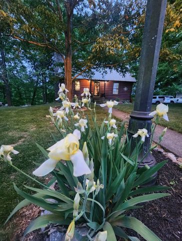 6241 Hwy 49 E, Springfield, TN 37172