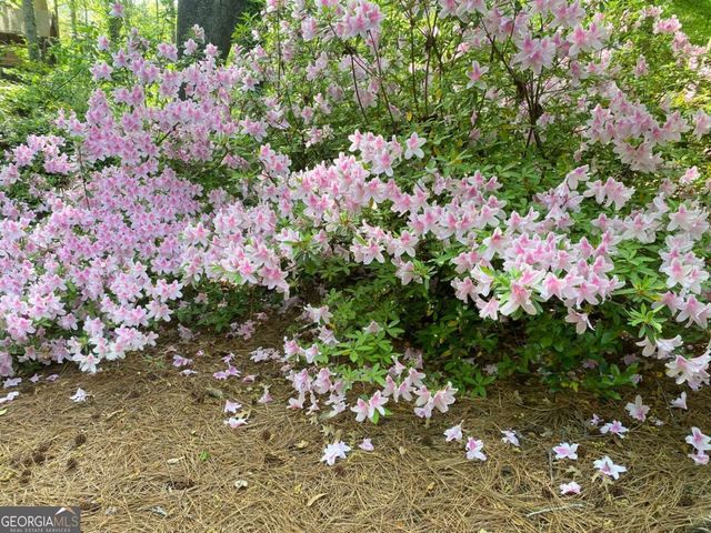 2880 Parkview Pass SE, Smyrna, GA 30080