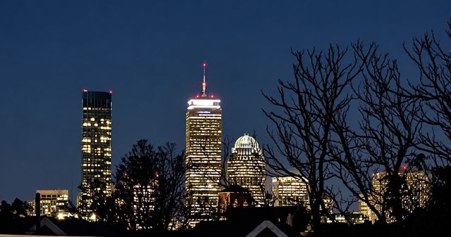 20 W Cottage St, Boston, MA 02125