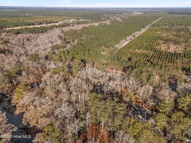 9925 Nc Highway 53 E, Burgaw, NC 28425